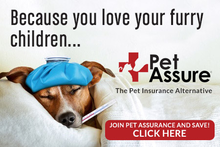 pet assure pet insurance alternative